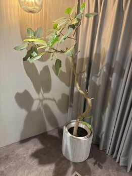 サロン(salon)の写真/お手軽プライスで清潔感あふれるメンズカットをご提供