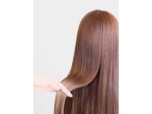 フォセット(Fossette)