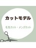 カットモデル募集