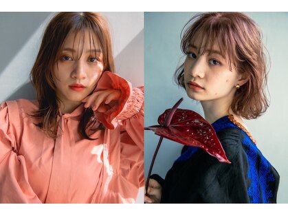 サングース(Sungoose)の写真