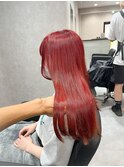 【武田】レッドカラー