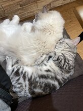 よかったら猫ちゃんにチュールあげてください♪