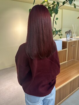 ロジェ(loje) 20代30代40代 ダブルカラー/レッドカラー