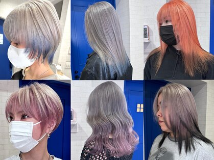 レド(LeDo)の写真