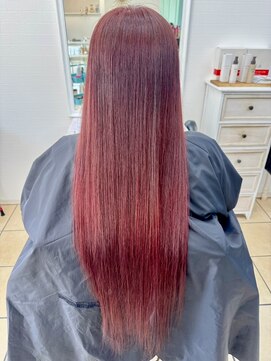 グラスペディア(graspedia) ボルドーカラー