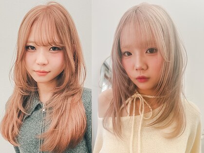 シラフ(SHIRAF)の写真