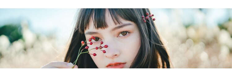 ノイス(noyce)のサロンヘッダー