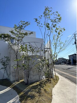 ギフト(Gift)の写真/美髪を育みながらおしゃれを楽しみたいあなたへ＊理想のスタイル創りからご自宅でのケアまで徹底サポート★