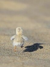 Q : 【当日時間に遅れそうな場合はどうしたらいい？】