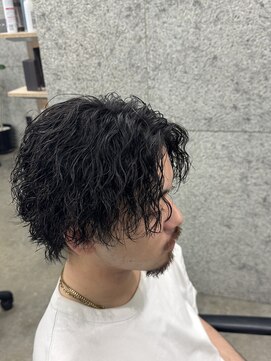 ウィールールピヴォクロス(WE RULE pivot cross) メンズパーマ