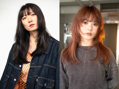 チカシツ(Chikashitsu)の写真