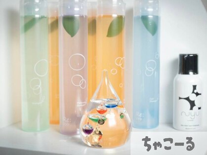 ちゃこーるの写真