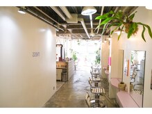 ネス(ness)の雰囲気（緑と光の洗練された店内で居心地の良さと、いいヘアを。#天神）