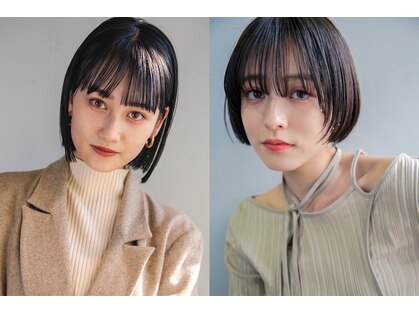 サングース(Sungoose)の写真