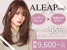 アリープアウル(ALEAP owl)