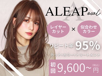 アリープアウル(ALEAP owl)の写真