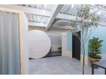 マール(marl.)の雰囲気（店内は広々としておりオリーブの木が出迎えてくれます。）