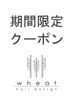 【☆期間限定お得☆】平日時間限定☆ご新規33％ご優待チケット♪