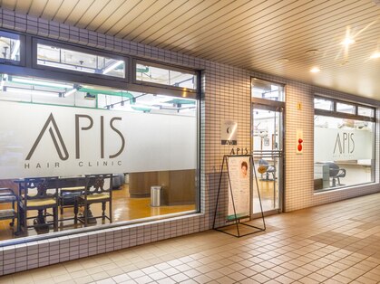 アピス(APIS)の写真