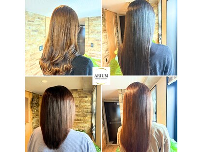 アリウム(ARIUM)の写真