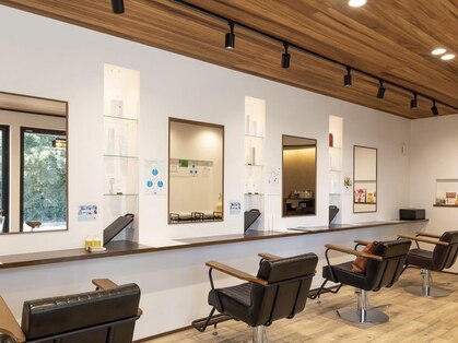 チュー(Chuu.)の写真