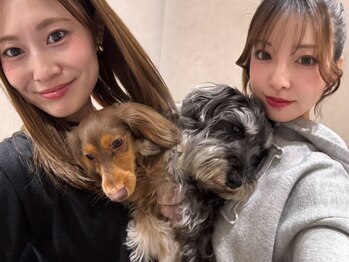 ドッグマニアピンチアオヤマ(DOGMANIA PiNCH AOYAMA)の写真/女性目線の提案が嬉しいと大人女性から支持多数♪半個室の空間で周りを気にせずリラックスできる*