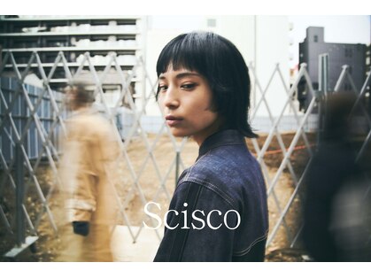 シスコ ヘア デザイン(Scisco hair design)の写真