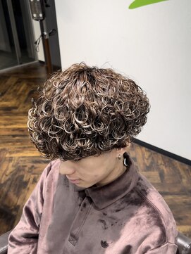 スキルメイト 天神(SKILL MATE) 波巻きプードル