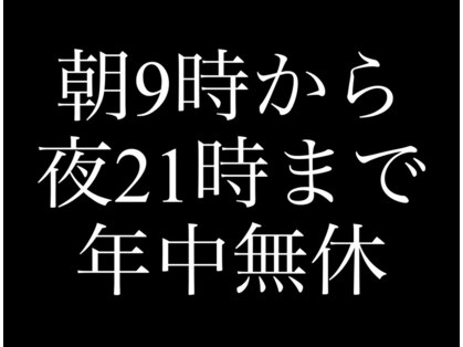 リリー(Lily)の写真