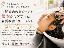 オーガニック 湘南藤沢オーパ店(Organic)の雰囲気（髪質改善をしながら白髪染めでツヤ髪に☆　Organic湘南藤沢店）