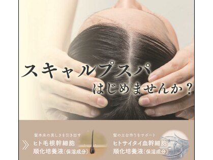 ディレクション(DIRECTION)の写真