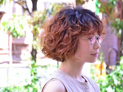 ロムロクウェット(L'HOMME ROQUETTE)の写真
