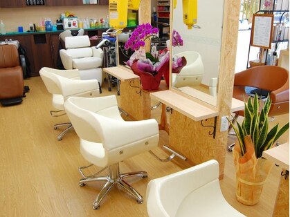 ヒップ(HIP)の写真