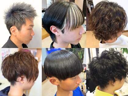 イノセントアルフの写真