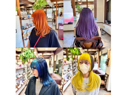 ヤソ(yaso)の写真