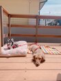ローレン 表参道(Lauren) 2匹のわんこ達が日々の癒しです(^^)