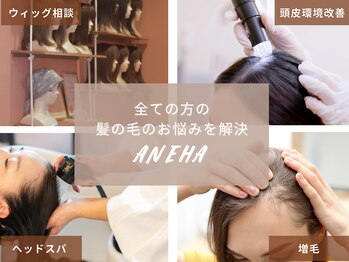 ANEHA