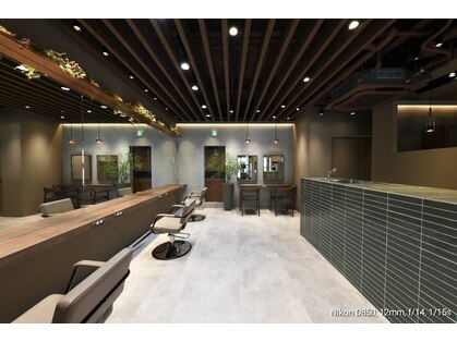 ニコ(NICO)の写真