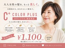 カラープラス 東住吉店
