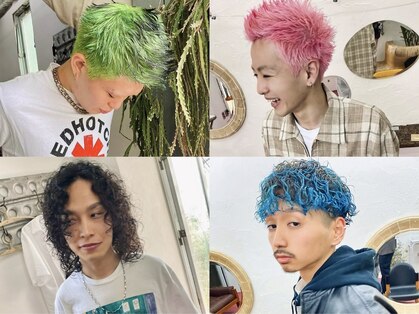 フィン(fin,)の写真