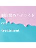 【テレビで話題】脱白髪染めハイライト+カット+クイックTR