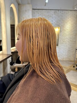 カリーナ(Carina) 〈キシタクヘアー〉グレージュ