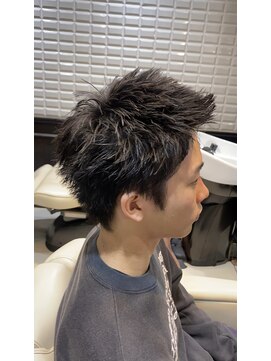 ルピナス(Lupinus) スパイキーショート