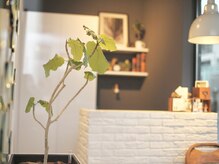 オーブ(Orb)の雰囲気(◎落ち着いた空間でリラックスできます【髪質改善 / 縮毛矯正】)