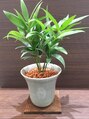 ROOM’S　阿佐ヶ谷店【6月上旬 NEWOPEN（予定）】/ROOM'Sは全席半個室♪