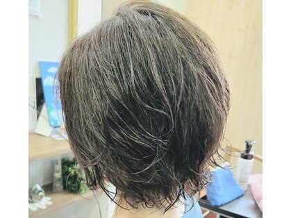 フィカス(Ficus)の写真