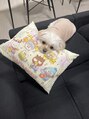 ワッペン(wappen)&nbsp;愛犬です♪