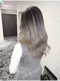 シルバーバレイヤージュ