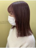 ピンクラベンダー