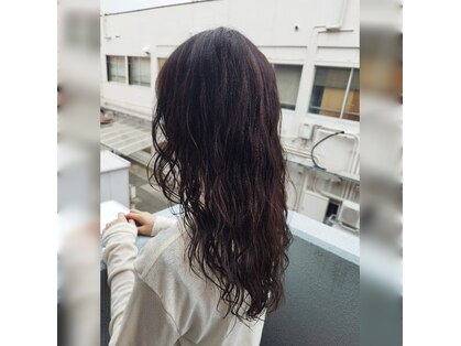 ガブ(GABU.)の写真